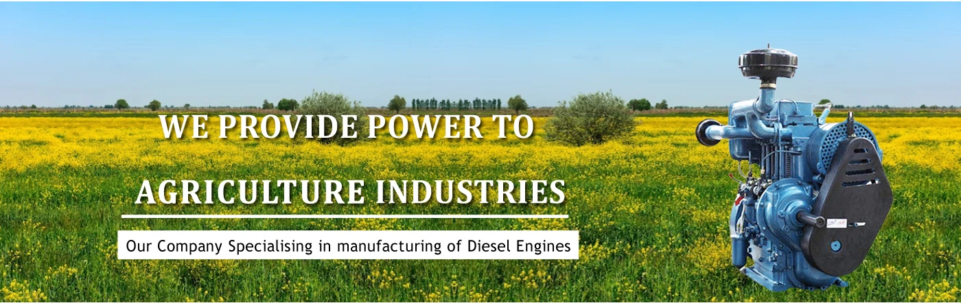 Diesel Engines, Sugarcane Juice Extractor Machines, Chaff Cutter Machines, Submersible Electric Pumps