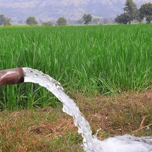 Agricultural Pumpsets